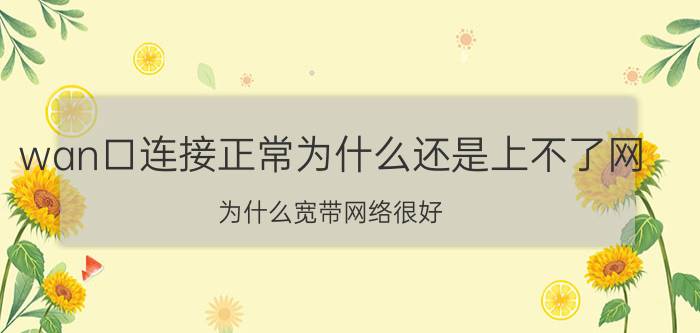 wan口连接正常为什么还是上不了网 为什么宽带网络很好，就是进不了手机的链接？